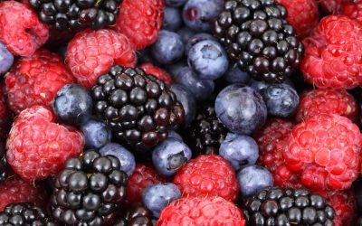 Vegan et Gourmet : Les Nouveaux Temples Gastronomiques de Paris